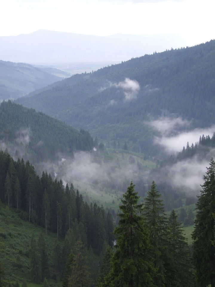 DSCF1091.JPG