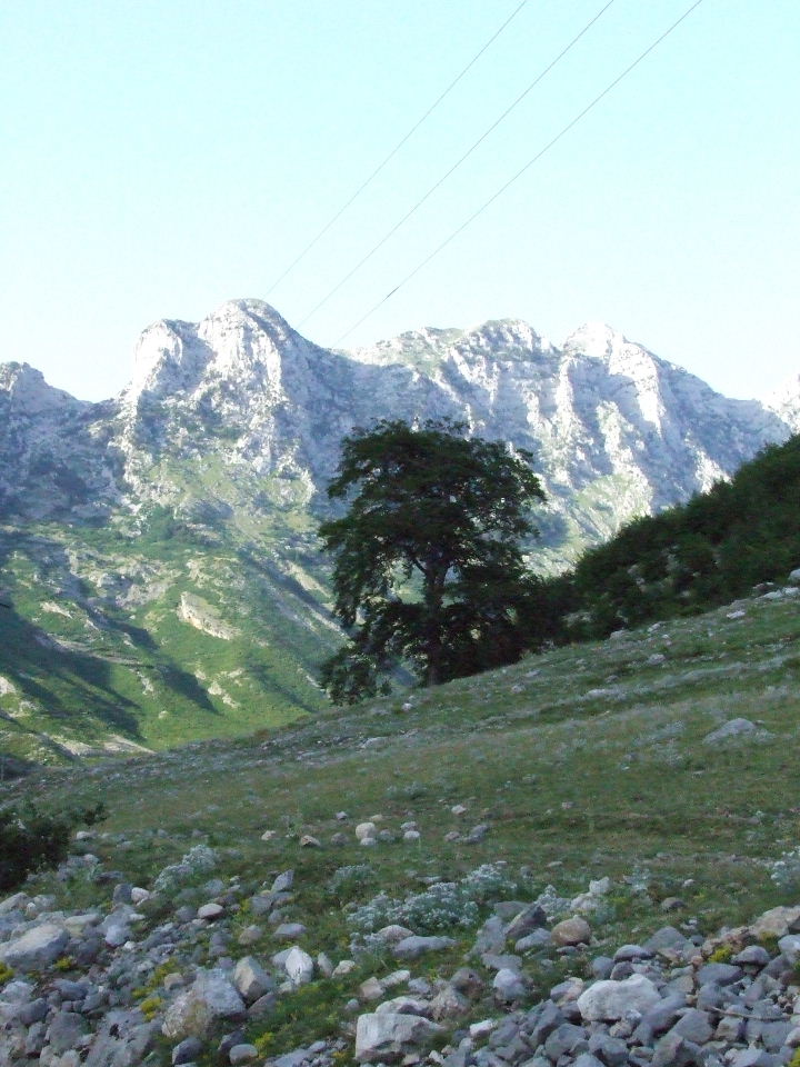 DSCF1423.JPG