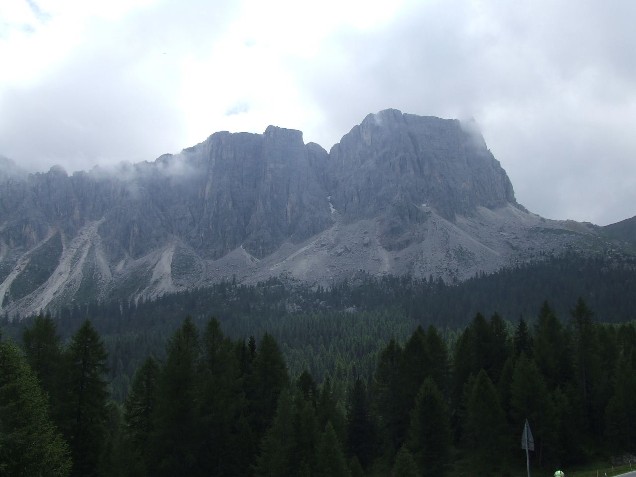 DSCF1447.JPG