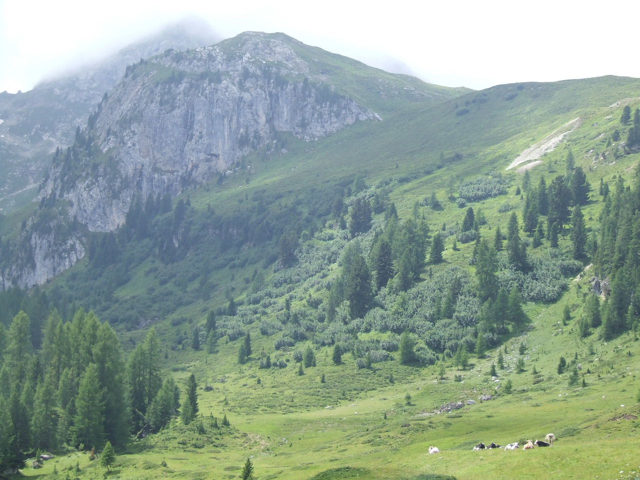 DSCF1448.JPG