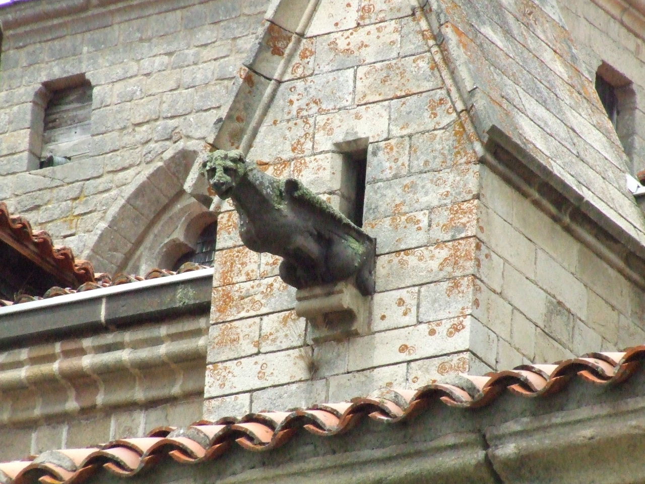 DSCF1491.JPG