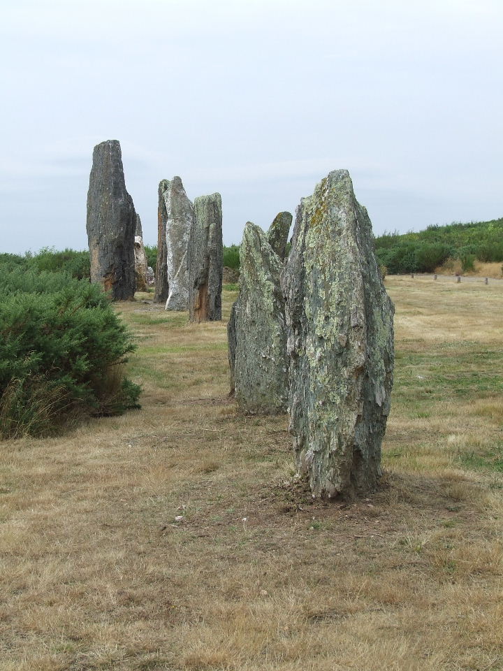 DSCF1505.JPG