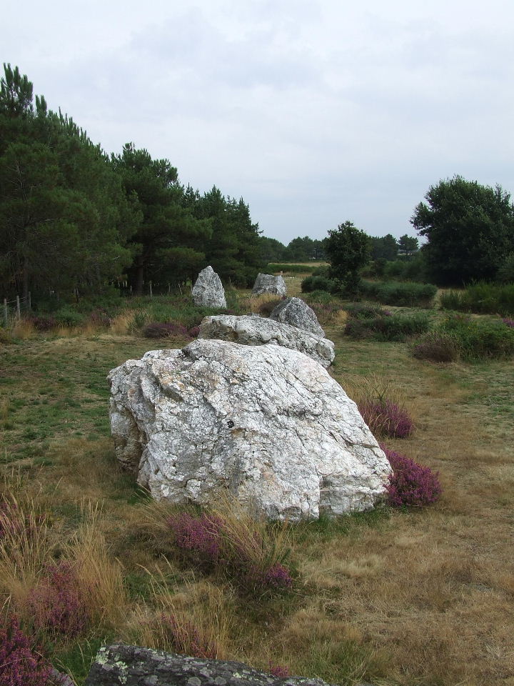 DSCF1506.JPG