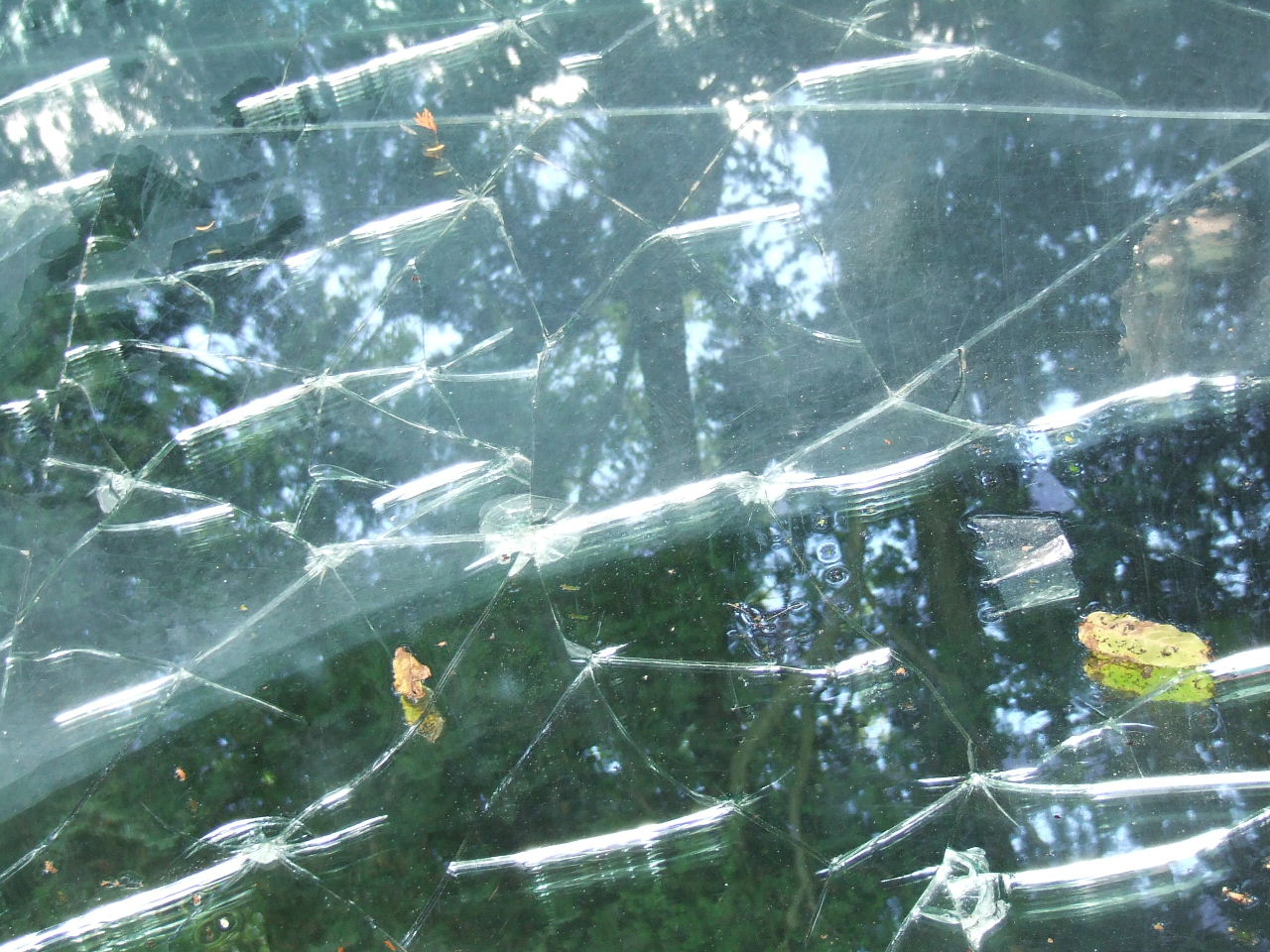 DSCF1561.JPG