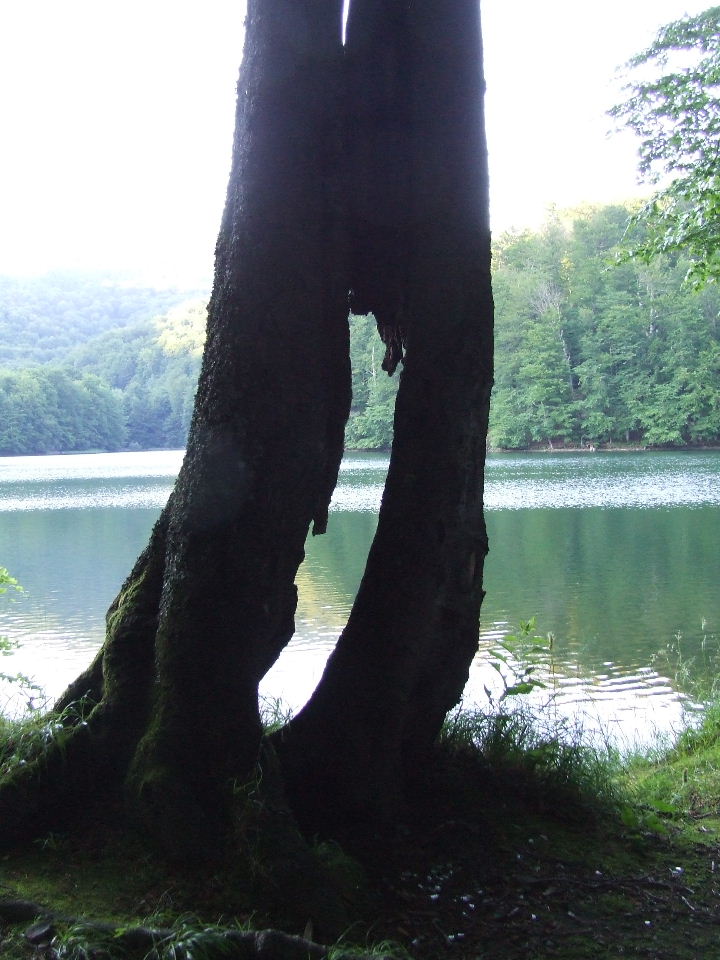 DSCF1048.JPG
