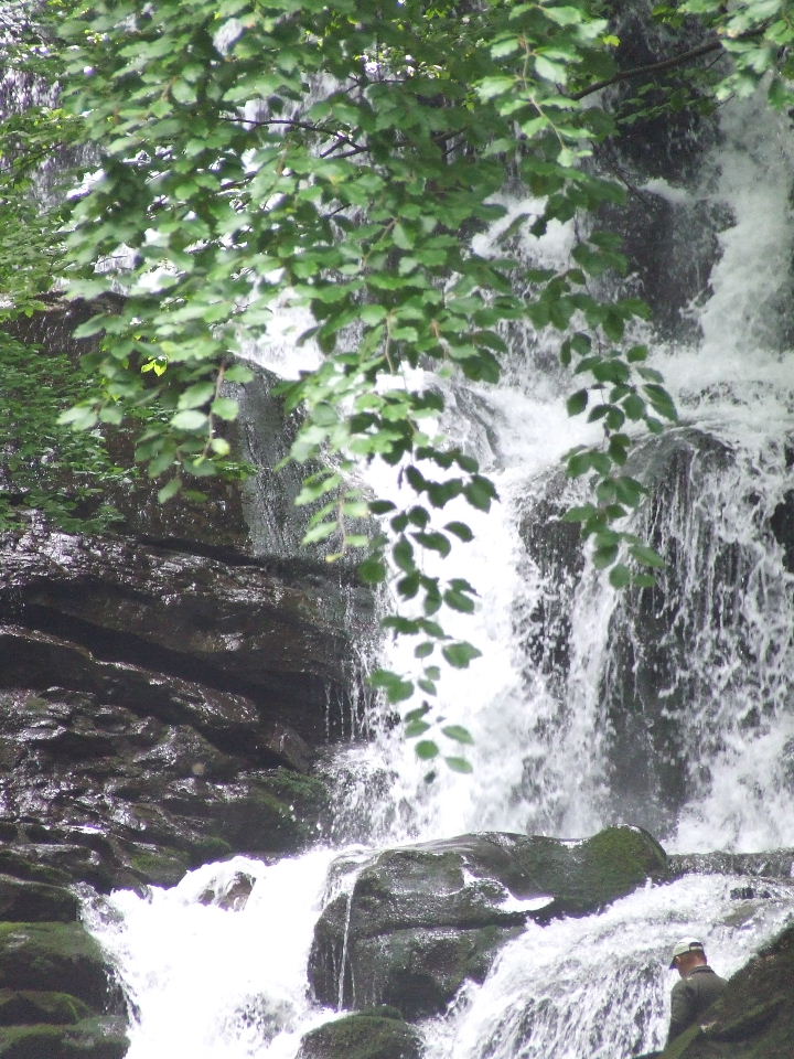 DSCF1054.JPG